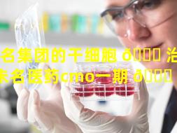未名集团的干细胞 🐒 治疗（未名医药cmo一期 💐 投产）
